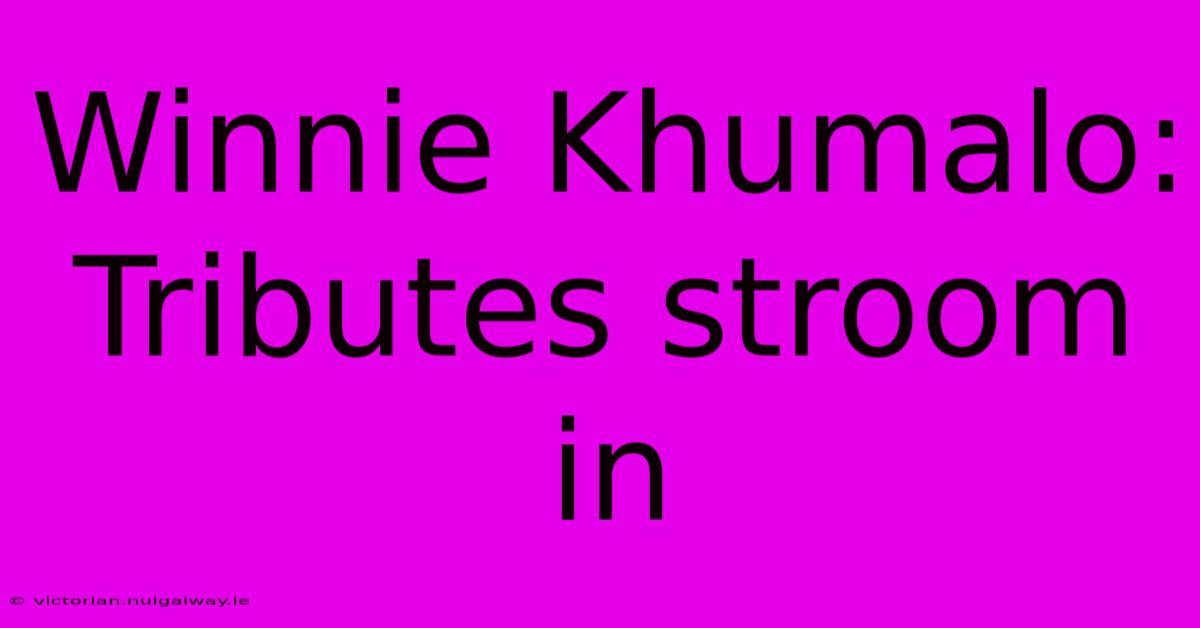 Winnie Khumalo: Tributes Stroom In