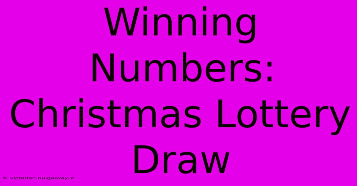 Winning Numbers: Christmas Lottery Draw