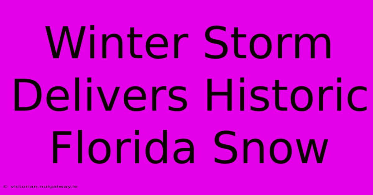 Winter Storm Delivers Historic Florida Snow