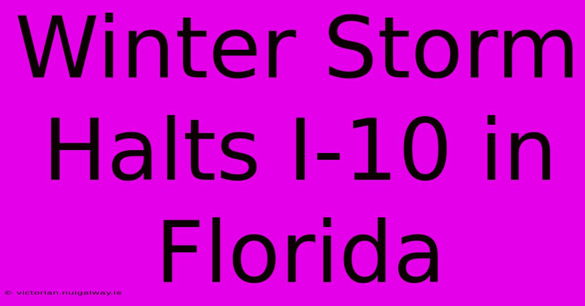 Winter Storm Halts I-10 In Florida