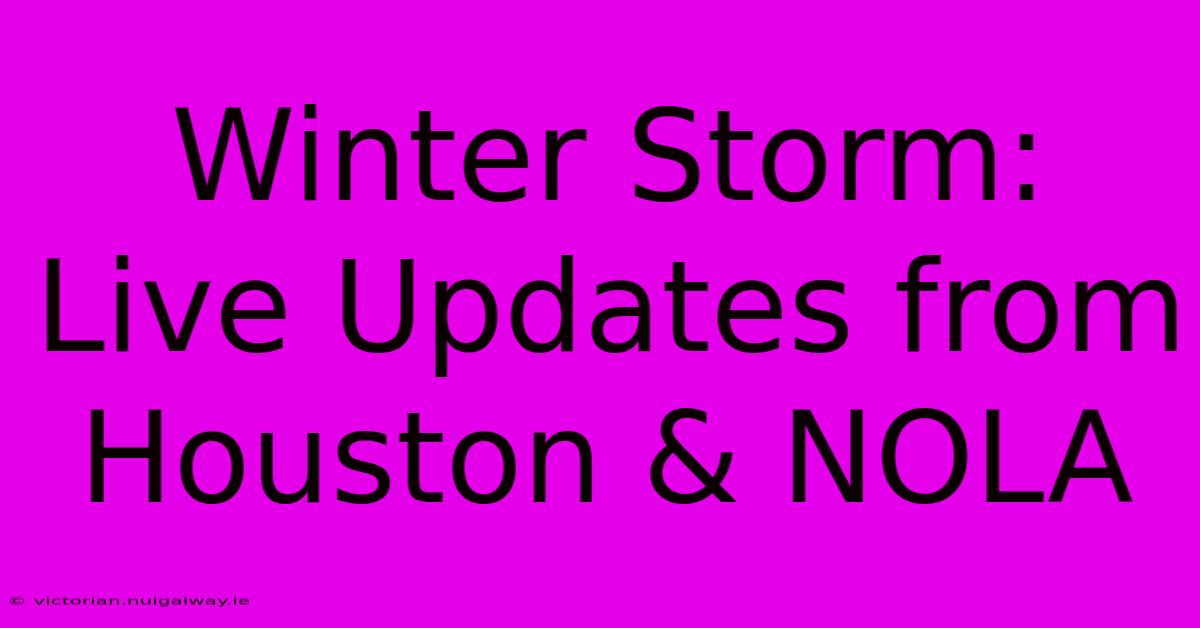 Winter Storm: Live Updates From Houston & NOLA