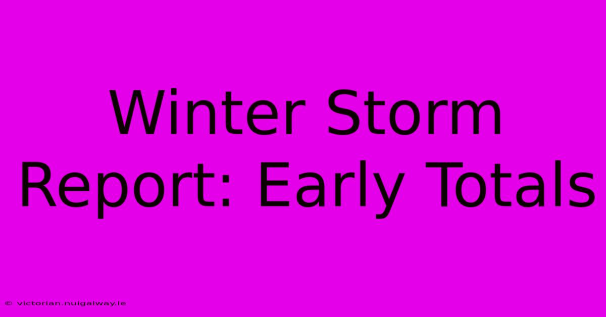 Winter Storm Report: Early Totals