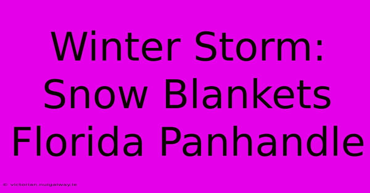 Winter Storm: Snow Blankets Florida Panhandle