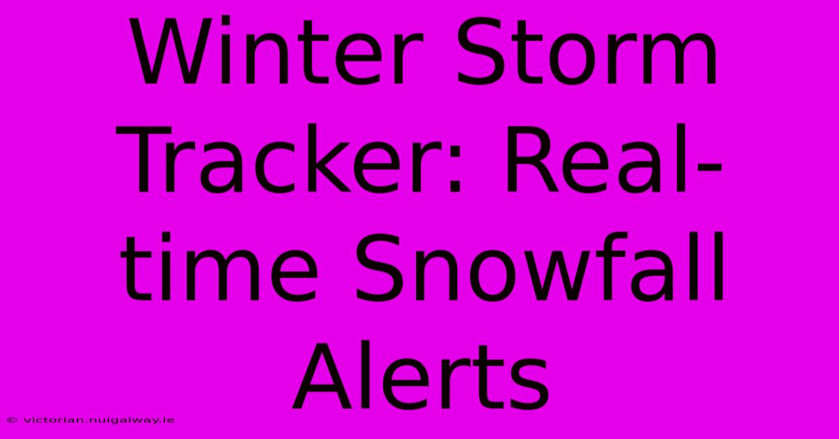 Winter Storm Tracker: Real-time Snowfall Alerts