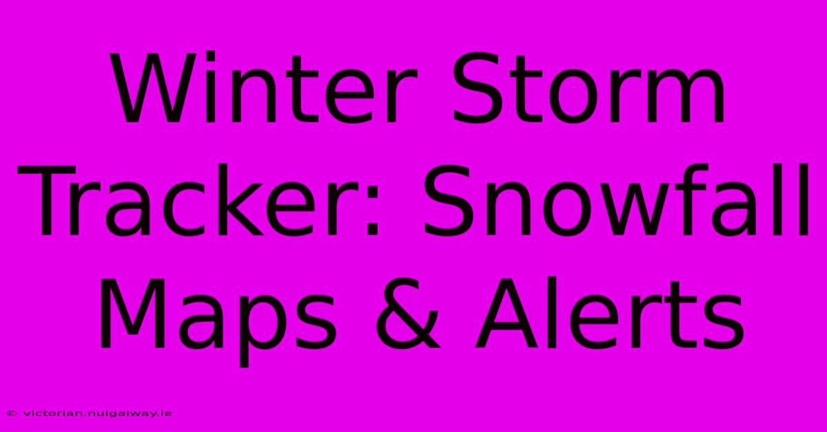 Winter Storm Tracker: Snowfall Maps & Alerts