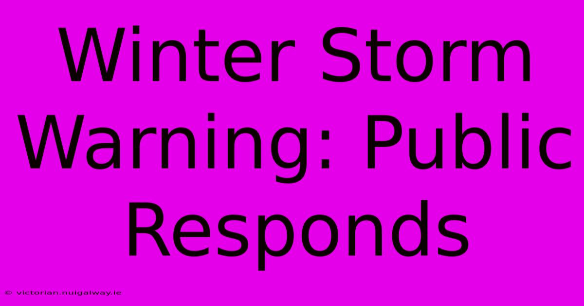 Winter Storm Warning: Public Responds