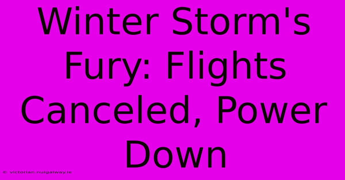 Winter Storm's Fury: Flights Canceled, Power Down