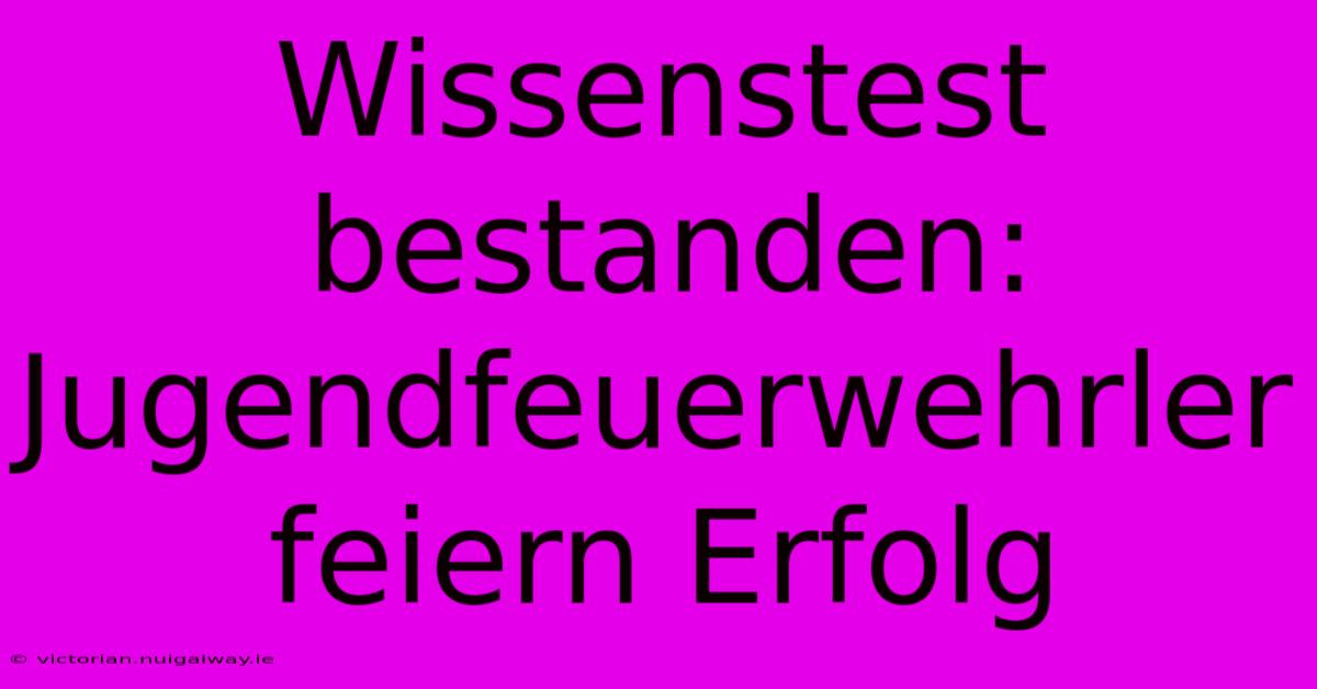 Wissenstest Bestanden: Jugendfeuerwehrler Feiern Erfolg