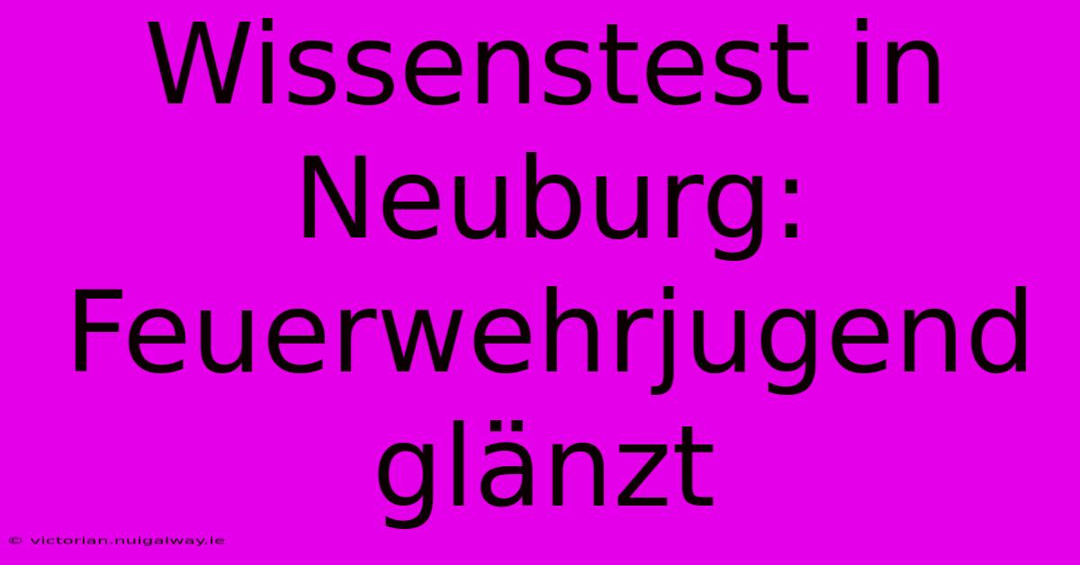 Wissenstest In Neuburg: Feuerwehrjugend Glänzt