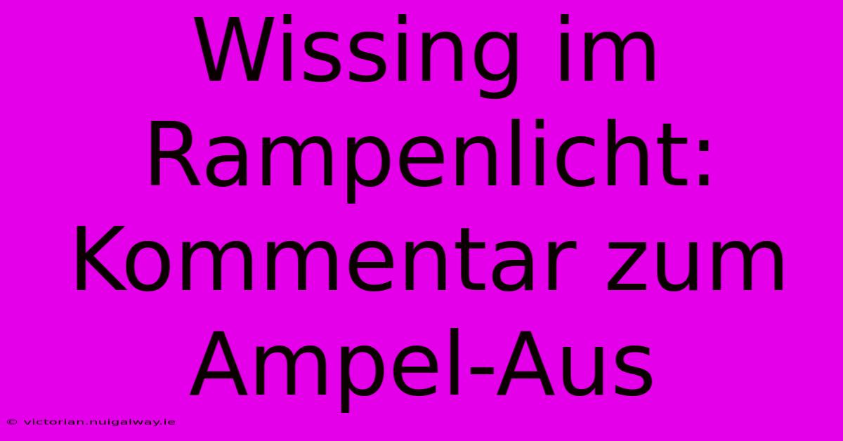 Wissing Im Rampenlicht: Kommentar Zum Ampel-Aus