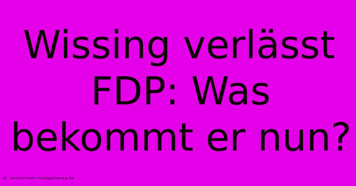 Wissing Verlässt FDP: Was Bekommt Er Nun?