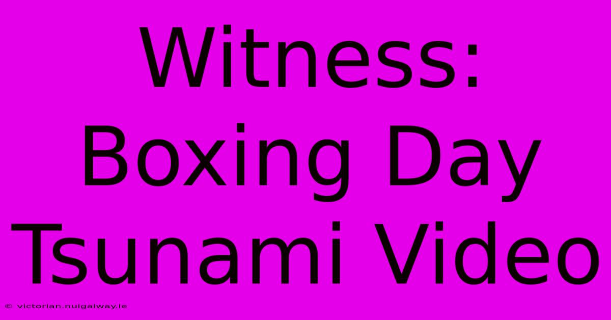 Witness: Boxing Day Tsunami Video