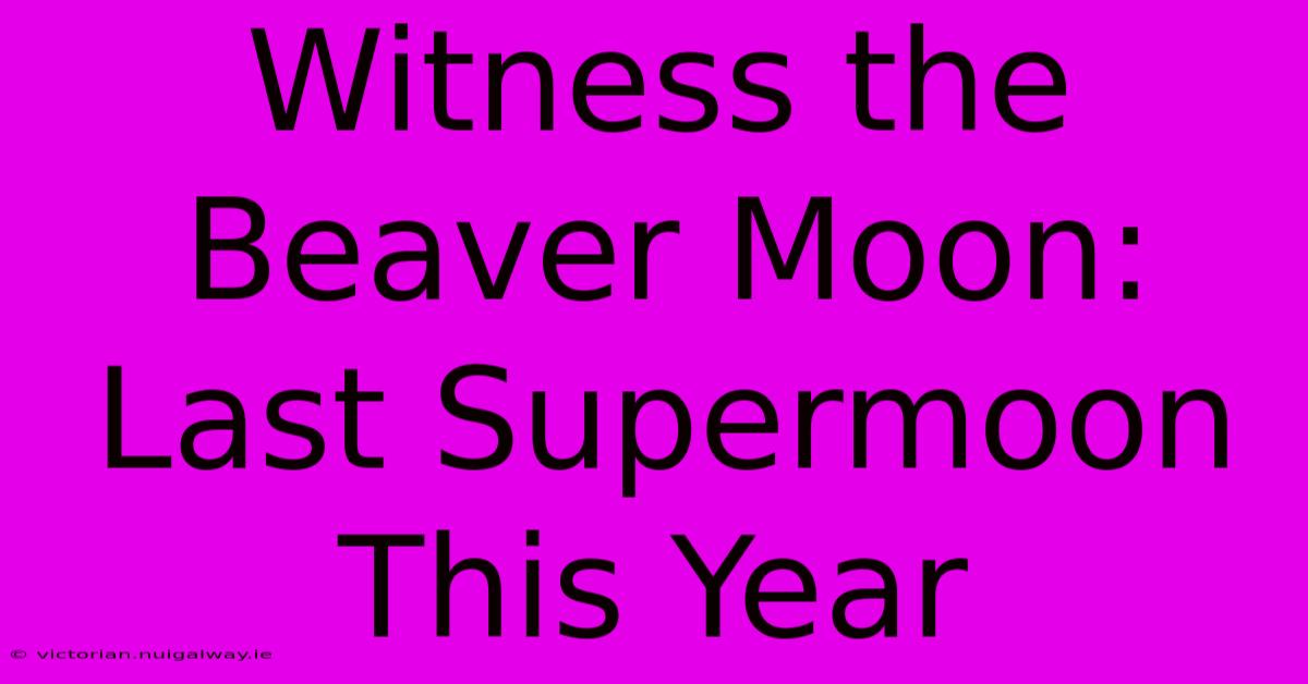 Witness The Beaver Moon: Last Supermoon This Year 