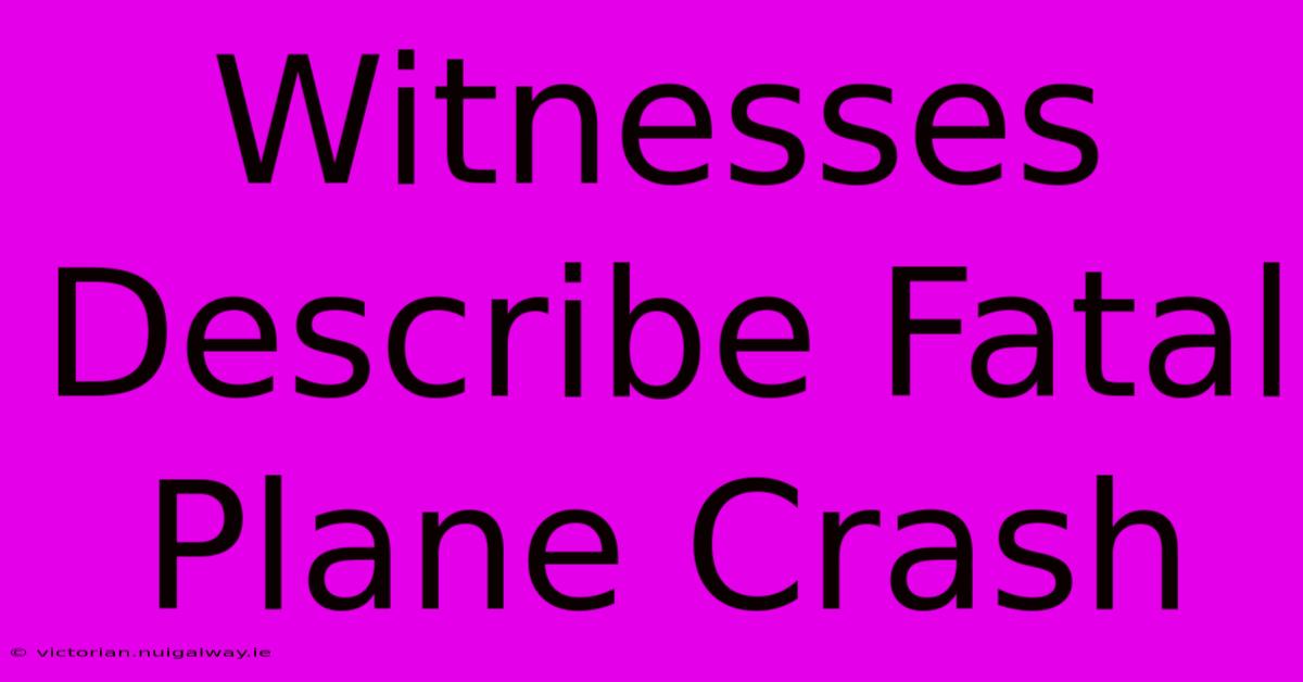 Witnesses Describe Fatal Plane Crash