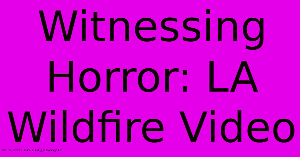 Witnessing Horror: LA Wildfire Video