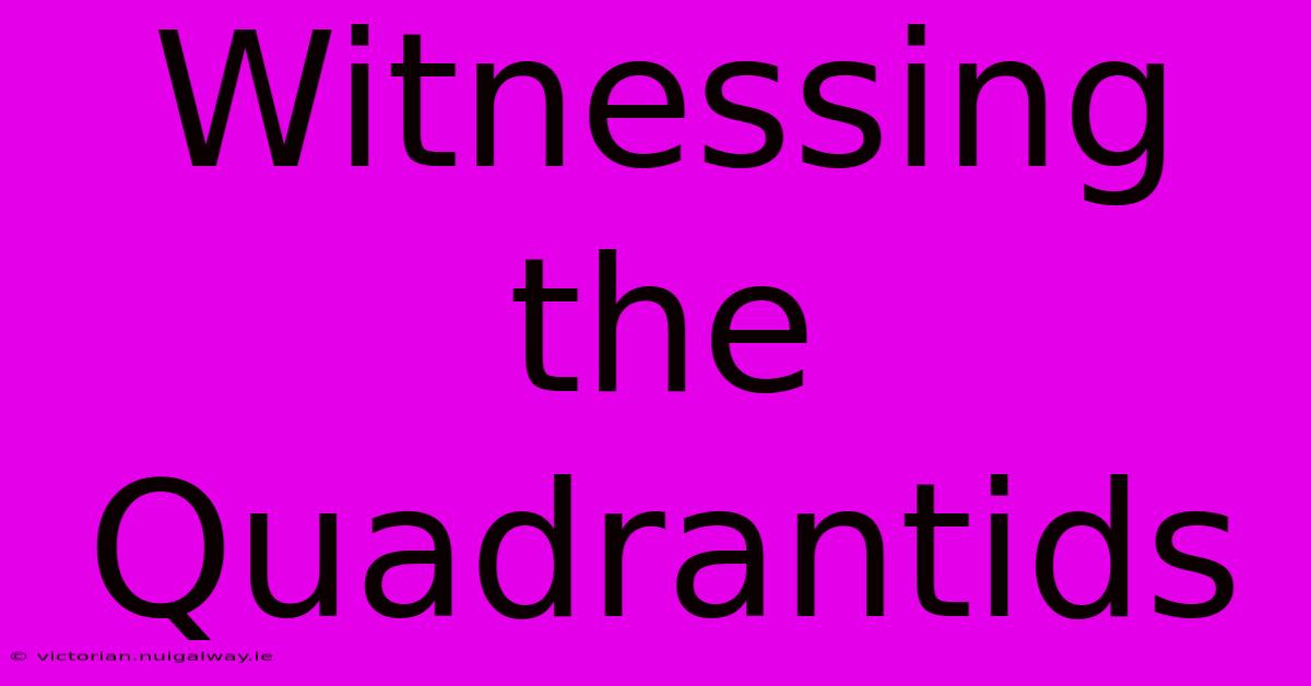 Witnessing The Quadrantids