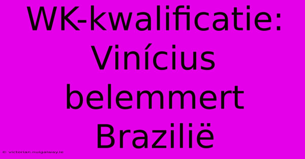 WK-kwalificatie: Vinícius Belemmert Brazilië 