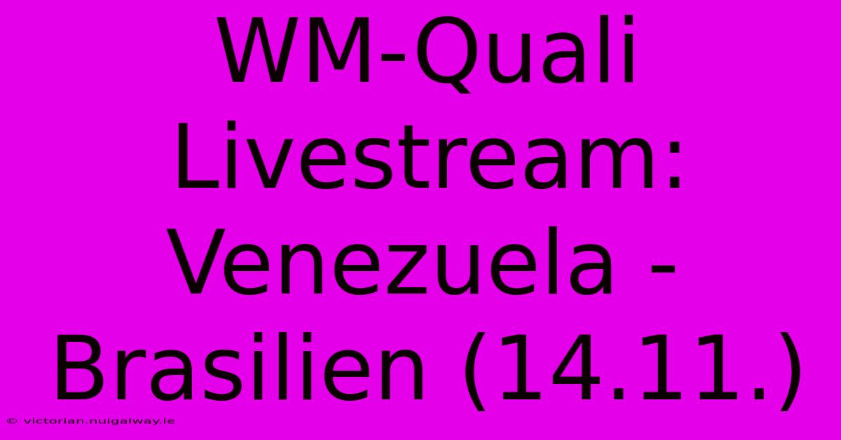 WM-Quali Livestream: Venezuela - Brasilien (14.11.) 