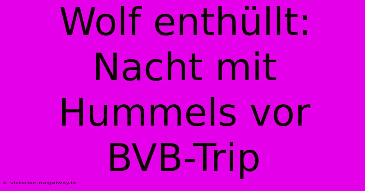 Wolf Enthüllt: Nacht Mit Hummels Vor BVB-Trip