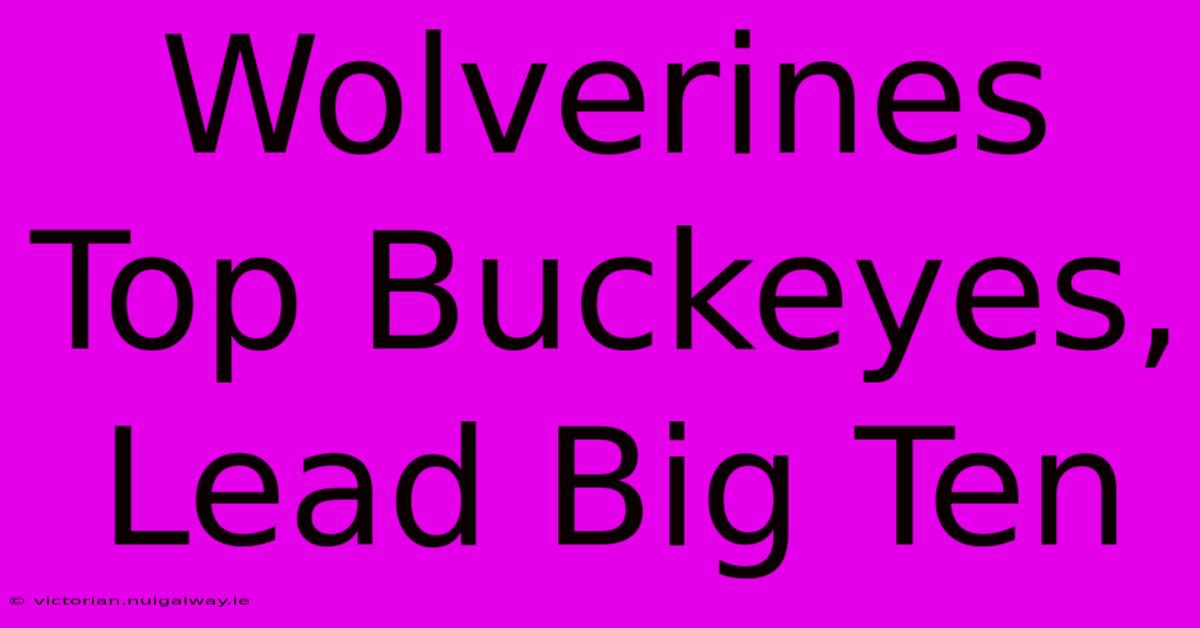 Wolverines Top Buckeyes, Lead Big Ten