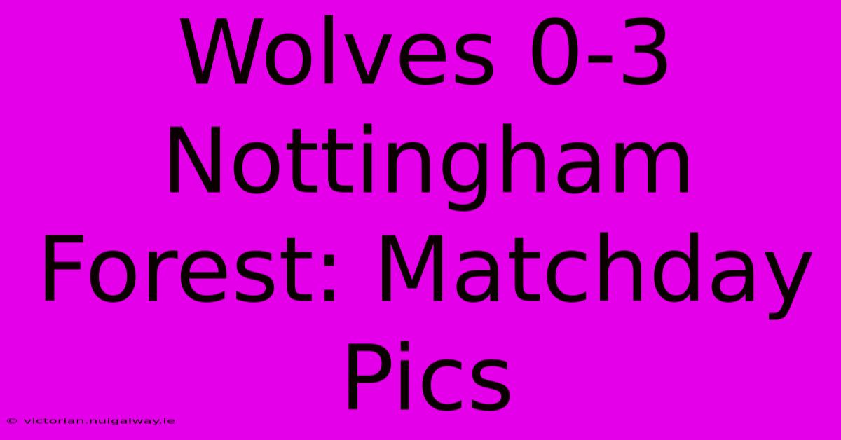 Wolves 0-3 Nottingham Forest: Matchday Pics