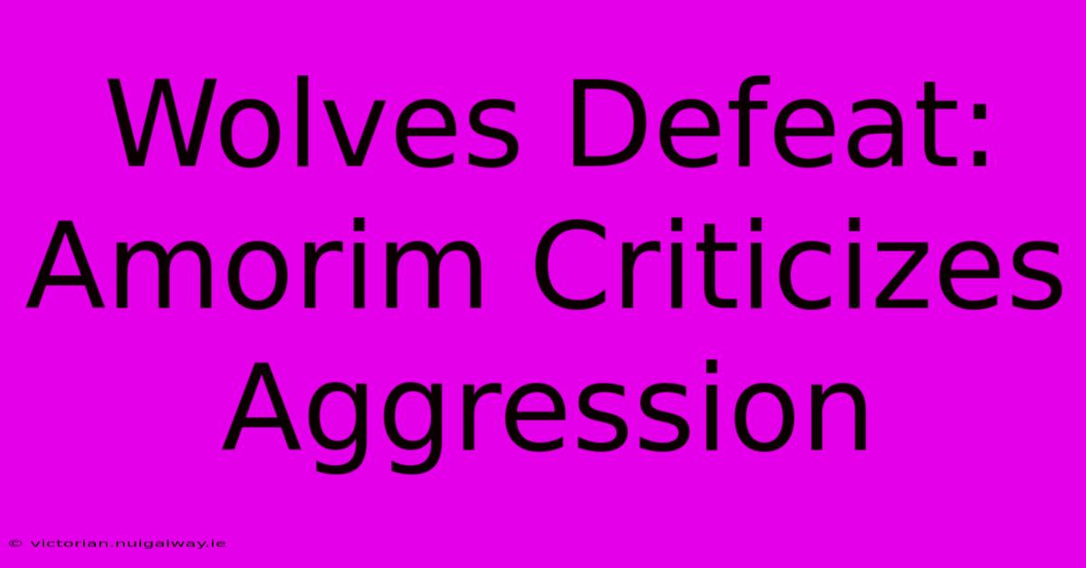 Wolves Defeat: Amorim Criticizes Aggression