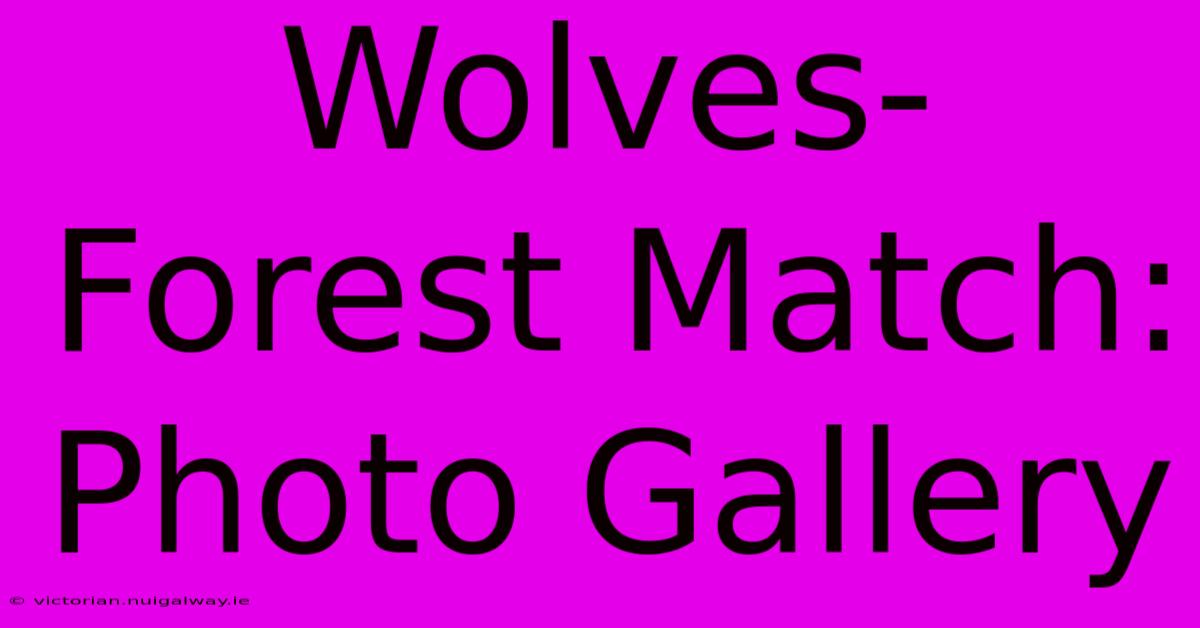 Wolves-Forest Match: Photo Gallery