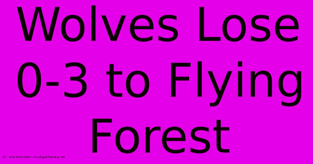 Wolves Lose 0-3 To Flying Forest