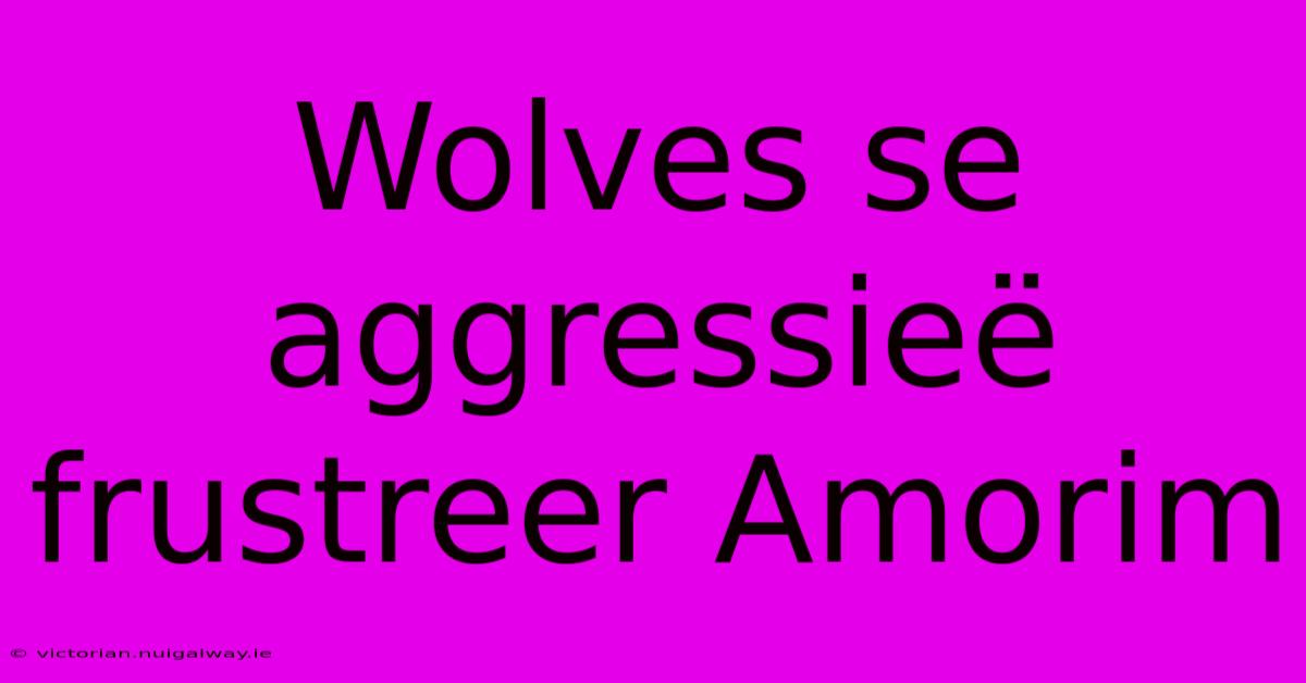 Wolves Se Aggressieë Frustreer Amorim