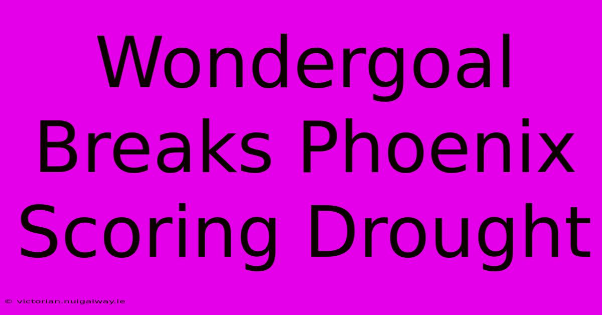 Wondergoal Breaks Phoenix Scoring Drought