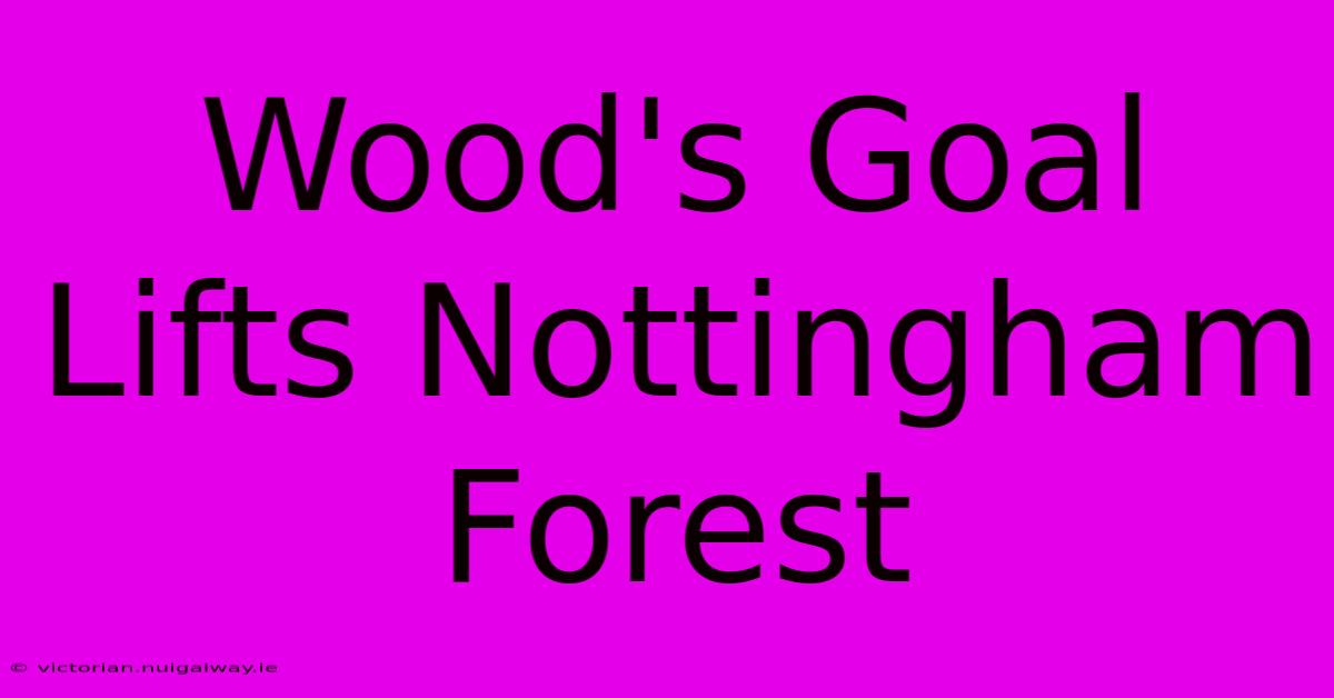 Wood's Goal Lifts Nottingham Forest