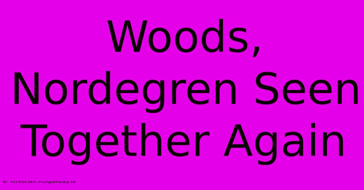 Woods, Nordegren Seen Together Again