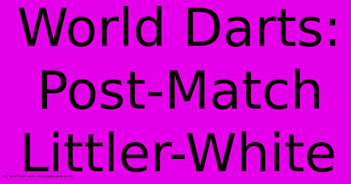 World Darts: Post-Match Littler-White