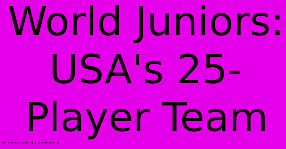 World Juniors: USA's 25-Player Team