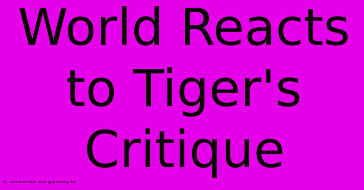 World Reacts To Tiger's Critique