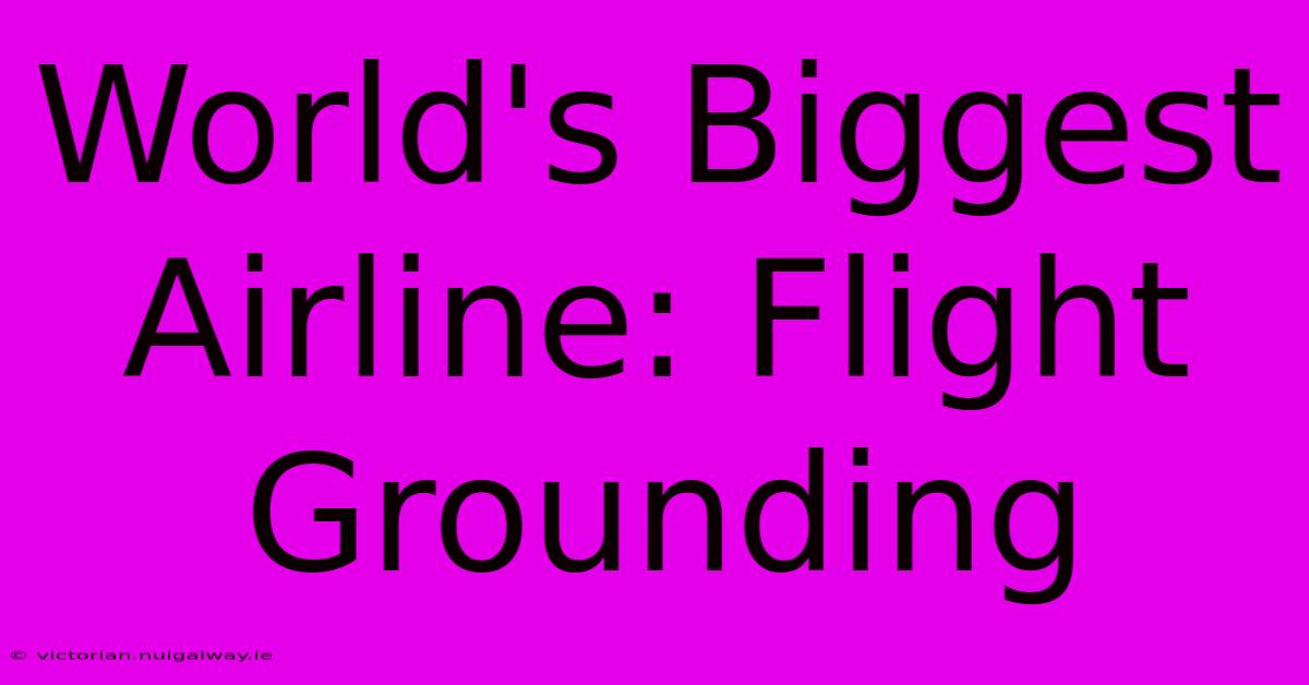 World's Biggest Airline: Flight Grounding