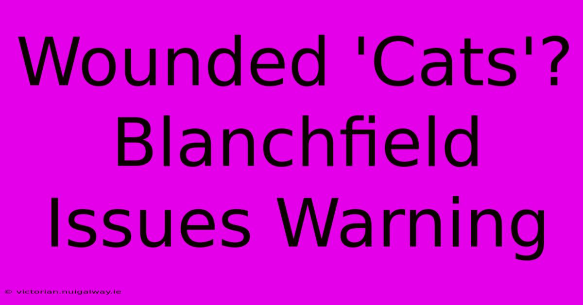 Wounded 'Cats'? Blanchfield Issues Warning 