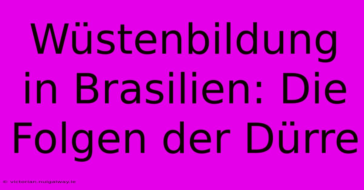 Wüstenbildung In Brasilien: Die Folgen Der Dürre