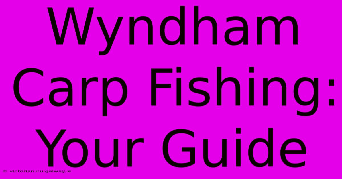 Wyndham Carp Fishing: Your Guide