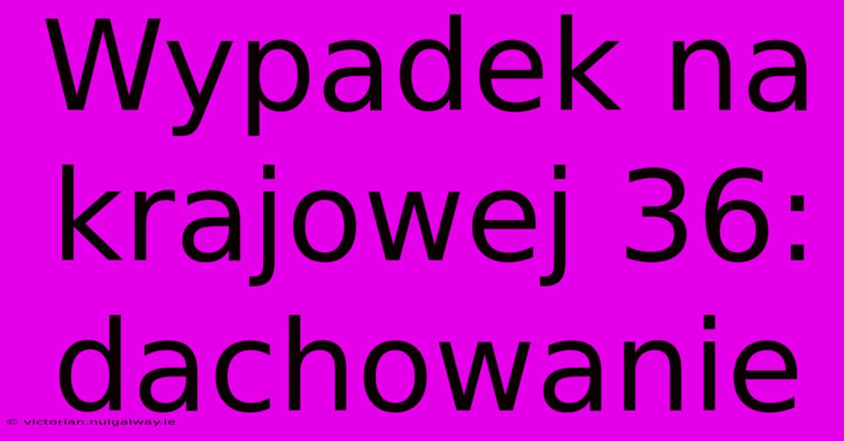 Wypadek Na Krajowej 36: Dachowanie