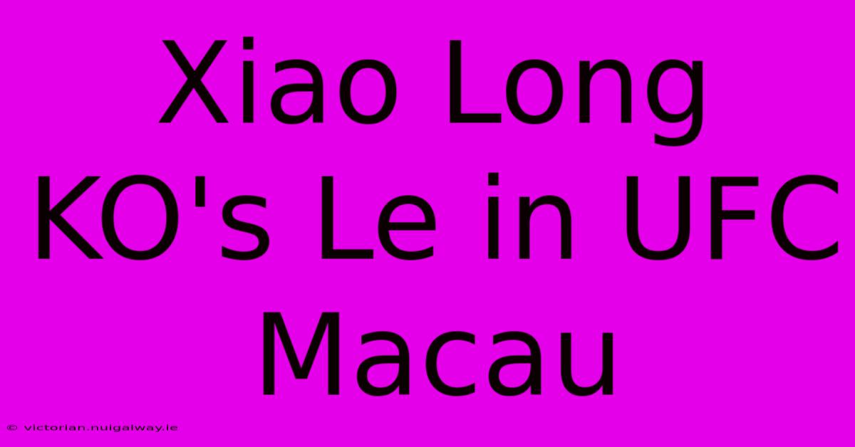 Xiao Long KO's Le In UFC Macau