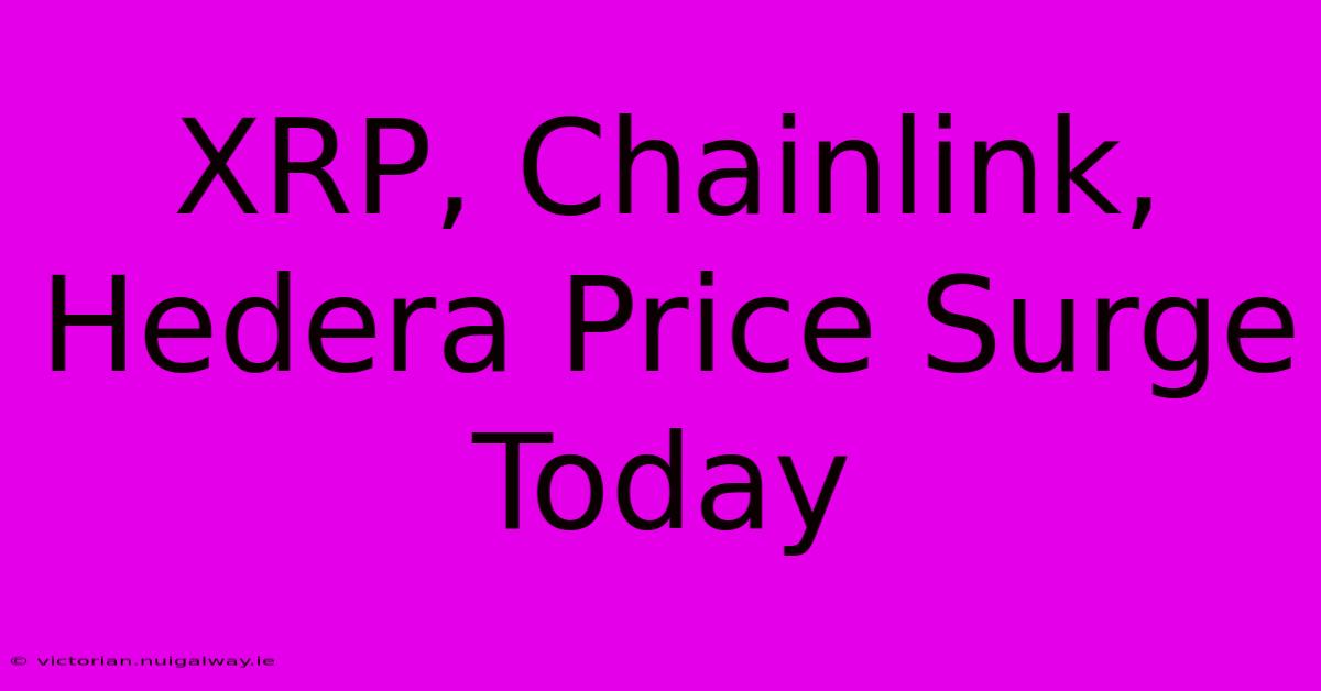 XRP, Chainlink, Hedera Price Surge Today