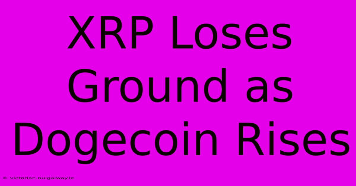 XRP Loses Ground As Dogecoin Rises 