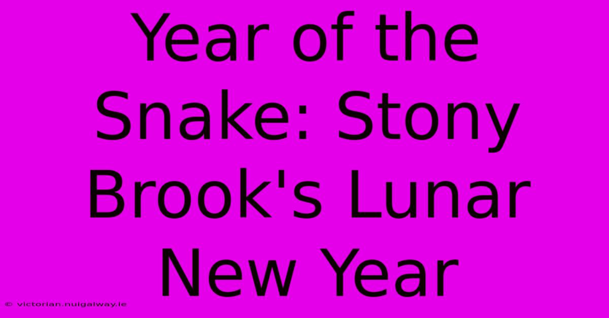 Year Of The Snake: Stony Brook's Lunar New Year