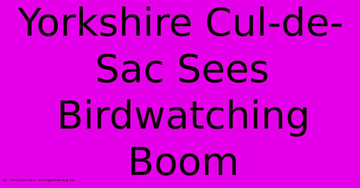 Yorkshire Cul-de-Sac Sees Birdwatching Boom