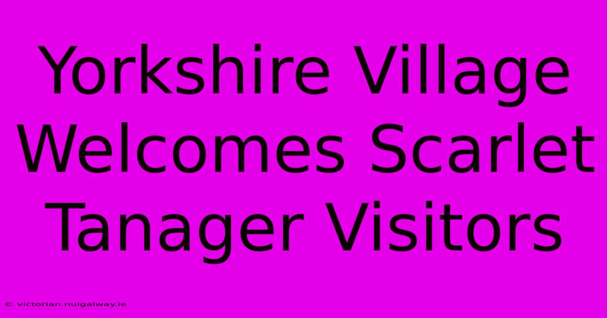 Yorkshire Village Welcomes Scarlet Tanager Visitors