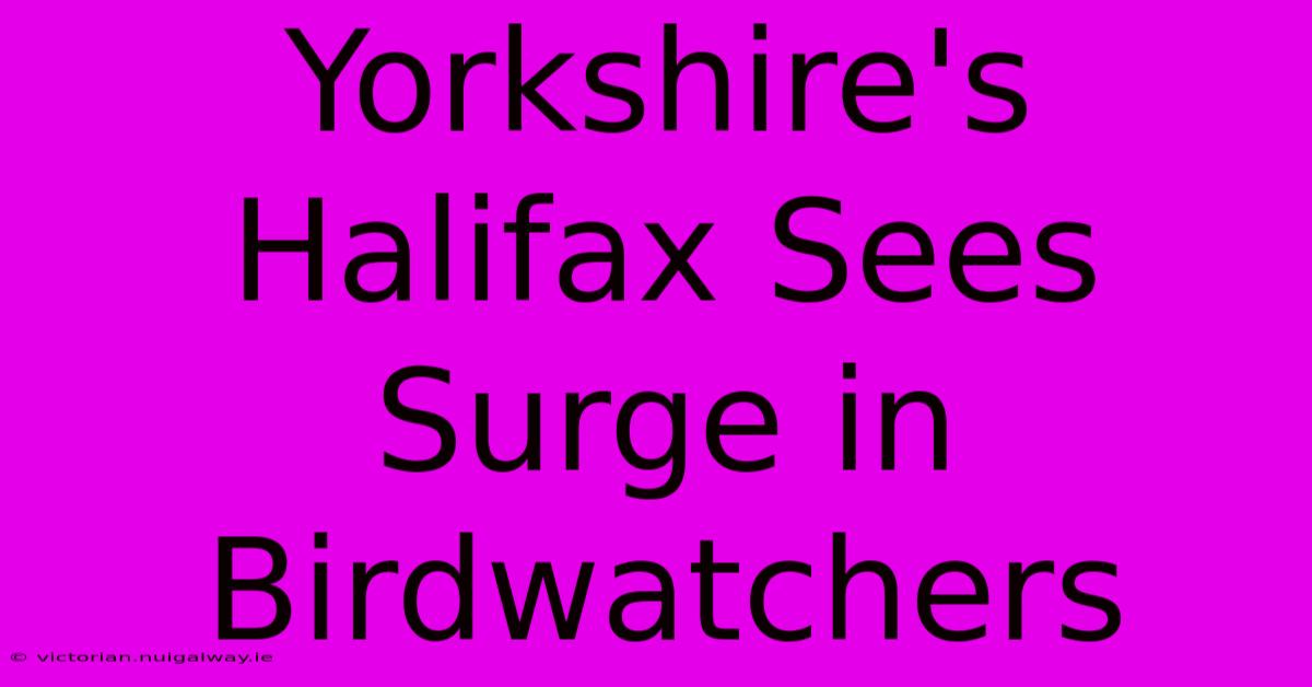 Yorkshire's Halifax Sees Surge In Birdwatchers