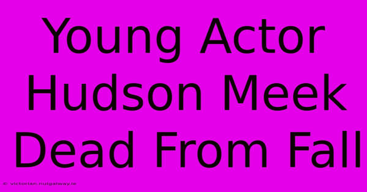 Young Actor Hudson Meek Dead From Fall