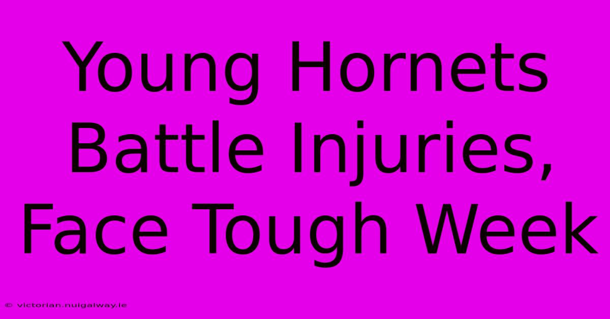 Young Hornets Battle Injuries, Face Tough Week