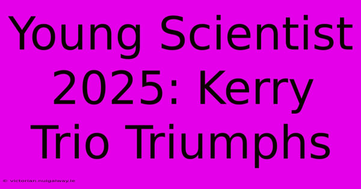 Young Scientist 2025: Kerry Trio Triumphs